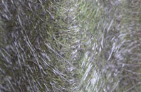 Oxlease fibreglass roof work